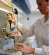 El laboratorio gallego Laber-Microal se especializa en el desarrollo tecnológico de alimentos autóctonos en conserva