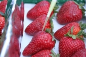 Crean un sistema de higienización de frutas y hortalizas que no genera residuos químicos