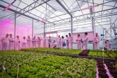 Nace Euvrin, la red europea de centros de investigación e innovación de hortalizas